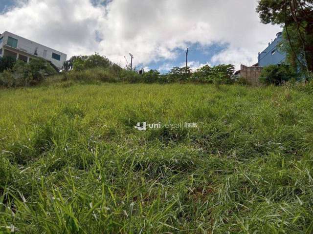 Terreno à venda, 1210 m² por R$ 260.000,00 - Bom Pastor - Juiz de Fora/MG