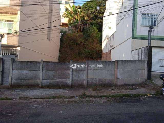 Terreno à venda, 300 m² por R$ 200.000,00 - Encosta do Sol - Juiz de Fora/MG