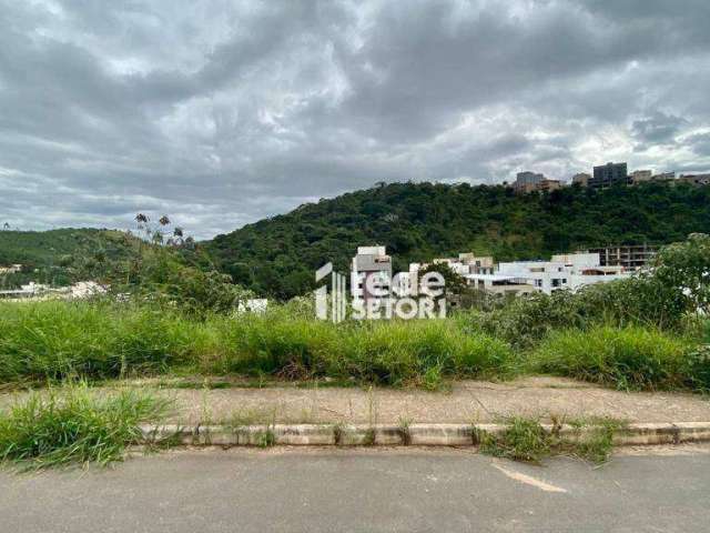 Terreno à venda, 360 m² por R$ 189.000,00 - Recanto da Mata - Juiz de Fora/MG