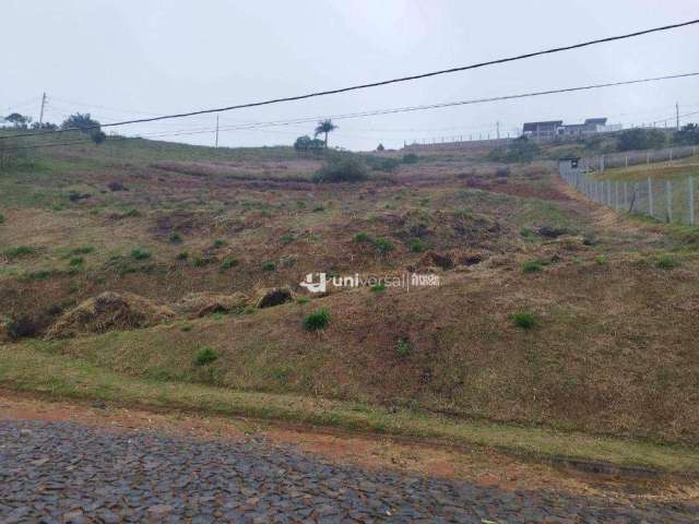 Terreno à venda, 3000 m²  R$ 280.000 - Villagio da Serra - Juiz de Fora/MG