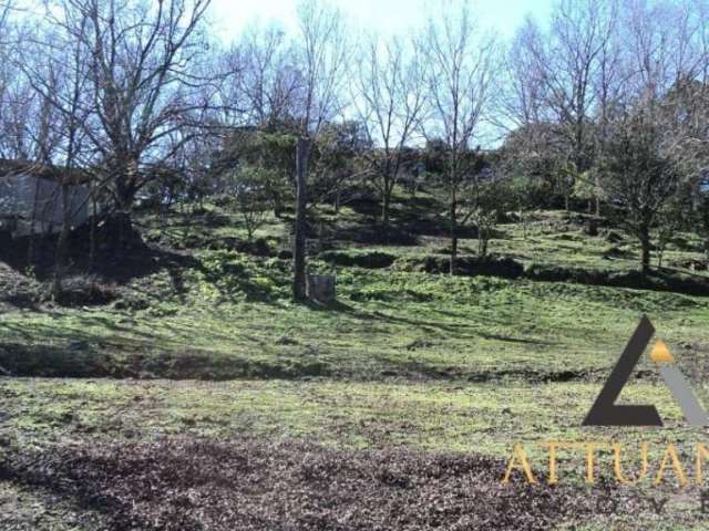 Terrenos no bairro São Caetano