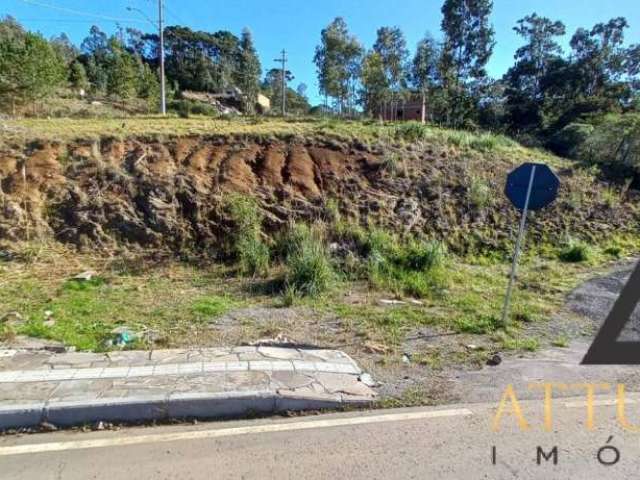 Terreno no bairro Santa Catarina | Loteamento Colina dos Plátanos