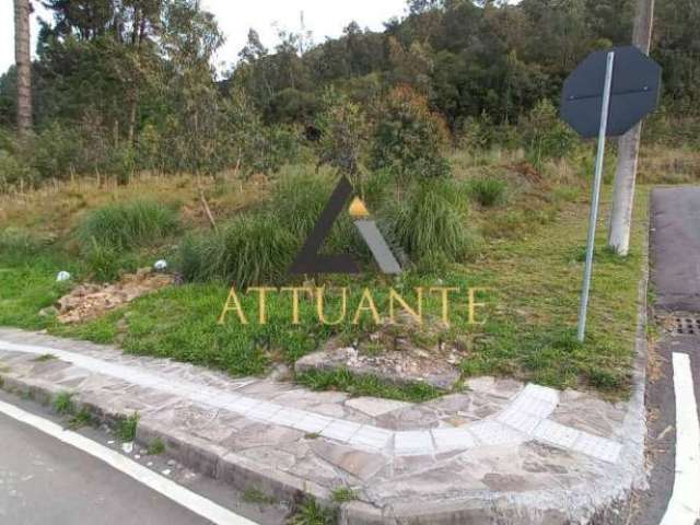 Terreno no bairro Santa Catarina | Loteamento Colina dos Plátanos