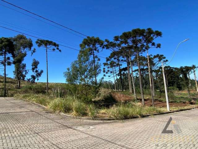 Terreno de esquina em Ana Rech