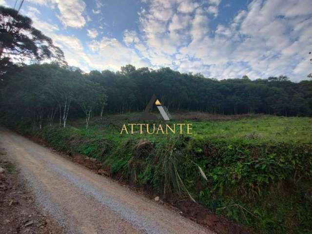 Área com 2 hectares próximo à Terceira Légua