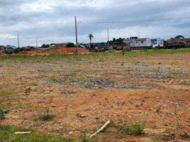 Terreno à venda, 200 m² por R$ 235.000,00 - Pacheco - Palhoça/SC