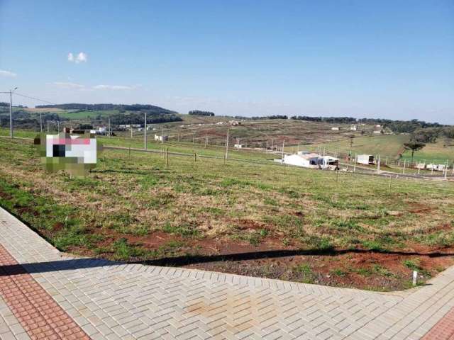 Terreno para aluguel, Vederti - Chapecó/SC