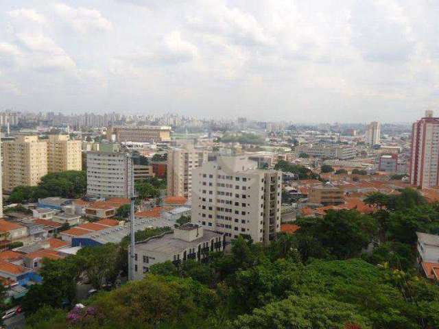 Apartamento a venda na casa verde - 90m2 - 3 quartos (1 suíte) e 2 vagas de garagem