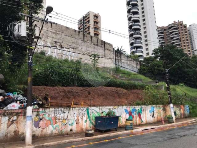 Terreno-São Paulo-MORUMBI | Ref.: REO572334