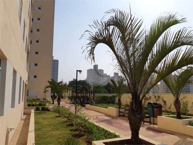 Excelente apartamento de 63m2 ,em frente ao Simba Safari, Zoológico e Jardim Botânico