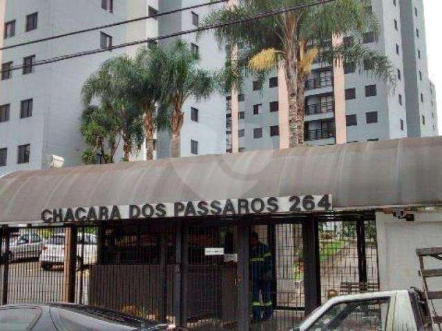 Oportunidade lindo apartamento no térreo ótimo local para morar perto de tudo!!!