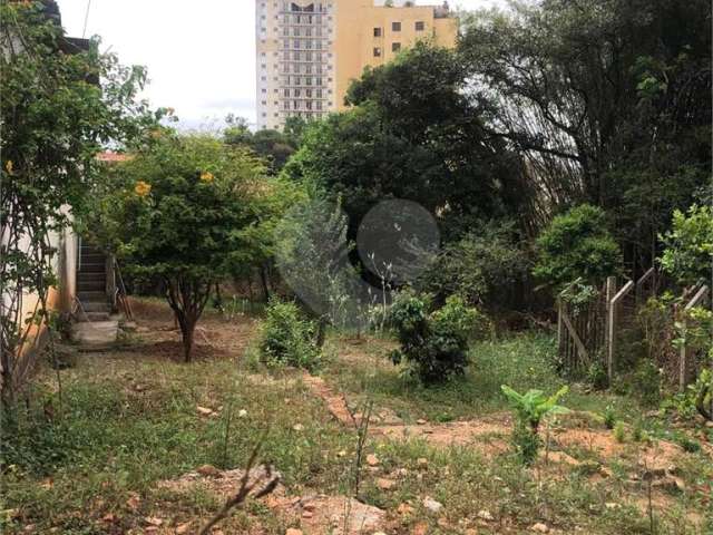 Terreno na Rua Augusto Tolle - Ótimo para investidores