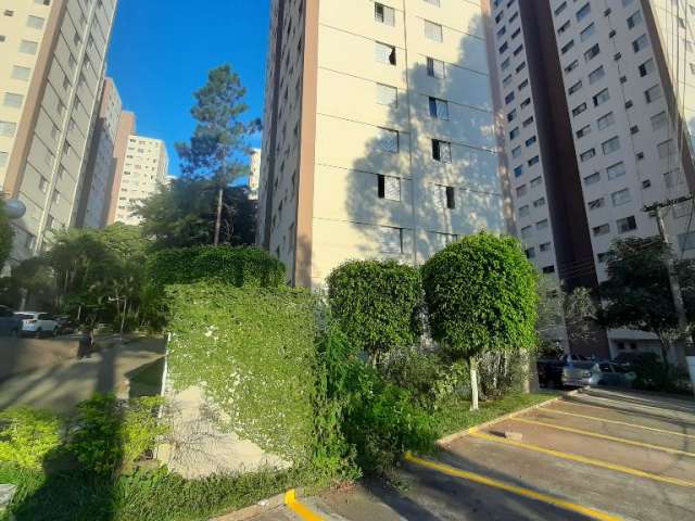 Apartamento à venda na Pedra Branca , com 2 quartos , 1 vaga garagem , sala , cozinha , 1 banheiro