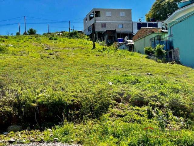 Ferreira Negócios Imobiliários Vende	Terreno em Caxias do Sul Bairro Montes Claros Terreno