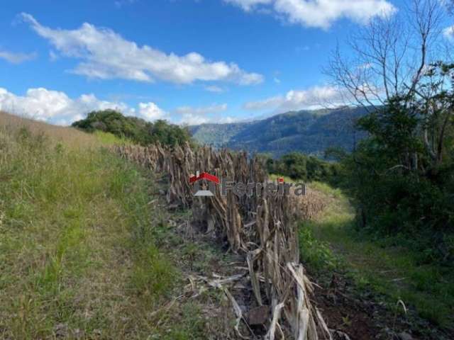 Ferreira Negócios Imobiliários Vende	Chácara em Caxias do Sul Bairro Santa Lúcia do Piaí