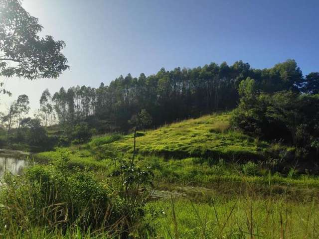 Sítio para Venda em Itaboraí, Peróbas (Pachecos), 3 dormitórios, 1 suíte, 2 banheiros, 1 vaga