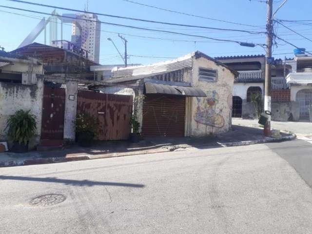 Terreno  em Vila Brasilio Machado  -  São Paulo