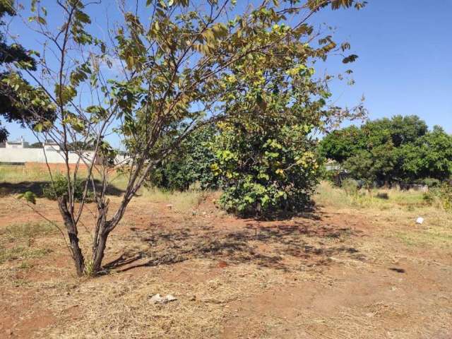 Terreno à Venda - Jardim Mansur