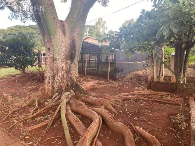 Sítio com 3 dormitórios à venda, 6 m² por R$ 2.000.000,00 - Zona Rural - São Simão/SP