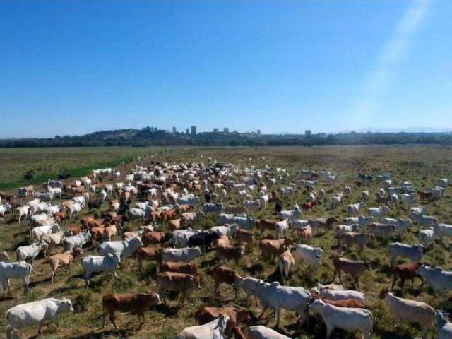 Excelente fazenda de 440 hectares totalmente plana no vale do Paraíba