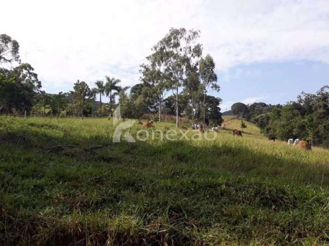 Fazenda à venda na Estrada Do Itapeva, Itapeva, Paraibuna, 400 m2 por R$ 2.500.000