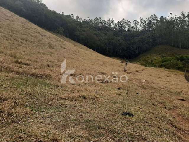 Chácara / sítio com 1 quarto à venda na Rua Coronel Camargo, Centro, Paraibuna por R$ 450.000