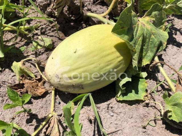 Fazenda à venda na Estrada Terra Seca, Itapeva, Paraibuna, 400 m2 por R$ 30.000.000