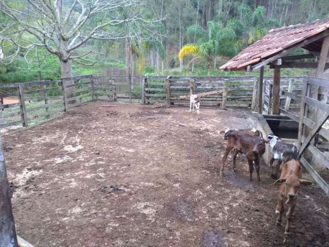 Fazenda à venda na None Centro, Centro, Paraibuna, 600 m2 por R$ 11.000.000