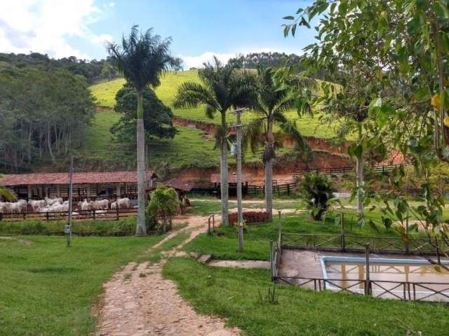 Fazenda à venda na Rua Coronel Camargo, Centro, Paraibuna, 600 m2 por R$ 5.500.000