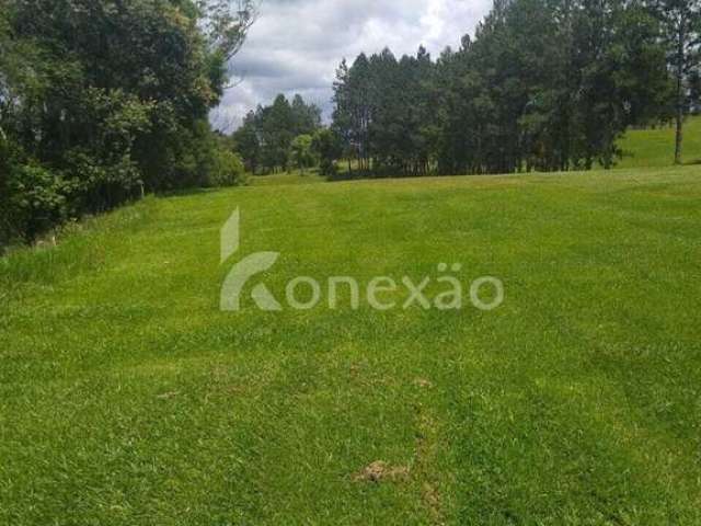 Fazenda à venda na Rua Bem-te-vi, Campo Verde, Ibiúna, 100 m2 por R$ 15.000.000