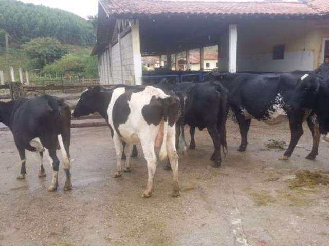 Fazenda à venda na Rua Coronel Camargo, Centro, Paraibuna, 500 m2 por R$ 3.500.000