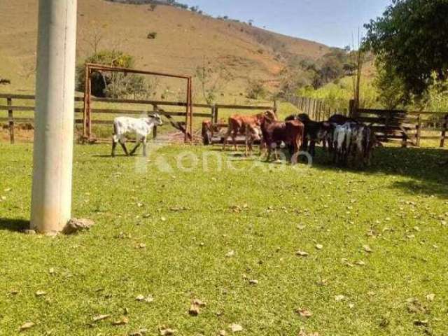 Fazenda à venda na Rua Antônio Afonso, Centro, Jacareí, 400 m2 por R$ 9.000.000