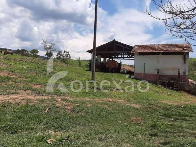 Fazenda à venda na Avenida Coronel Manoel Inocêncio, Centro, Caçapava, 250 m2 por R$ 12.000.000