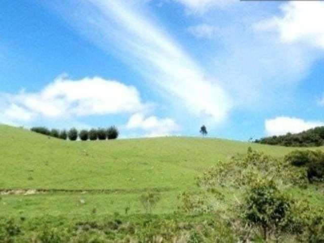 Fazenda à venda na Rua Comendador Rodrigues Alves, Centro, Guaratinguetá, 300 m2 por R$ 13.000.000