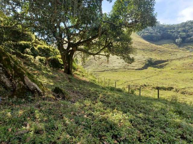 Fazenda com 2 salas à venda na Estrada Benedito Prado Monteiro, Bairro dos Souzas, Monteiro Lobato por R$ 3.800.000