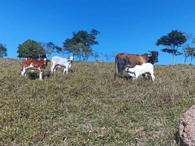 Terreno à venda na Alameda dos Paturis, Canaã, Jambeiro, 200 m2 por R$ 350.000