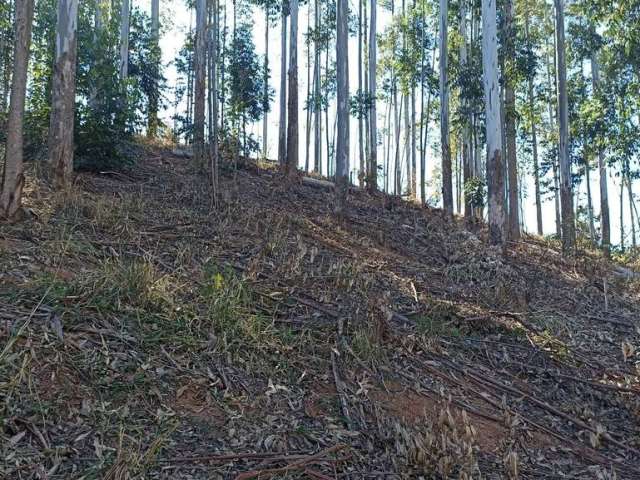 Terreno à venda na None Centro, Centro, Paraibuna por R$ 220.000