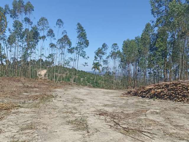 Fazenda à venda na Centro, Centro, Salesópolis, 300 m2 por R$ 5.000.000