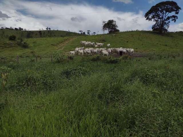 Fazenda à venda na Estrada Área Rural, Área Rural de Guaratinguetá, Guaratinguetá, 100 m2 por R$ 11.520.000