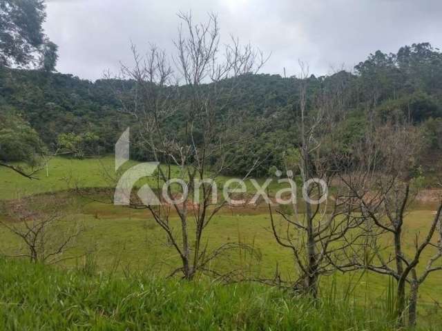 Fazenda à venda na Rodovia Otácilio F da Silva, Zona Rural, Natividade da Serra, 90 m2 por R$ 9.900.000