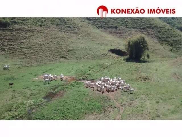 Fazenda à venda na Rodovia dos Tamoios, Pouso Alto, Natividade da Serra por R$ 3.900.000