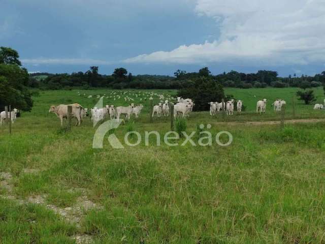 Fazenda com 4 salas à venda na Rua Um, Centro, Registro, 100 m2 por R$ 16.000.000