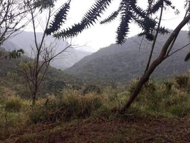 Terreno à venda na Rua Doutor Arlindo Luz, Centro, Passa Quatro, 120 m2 por R$ 9.000.000