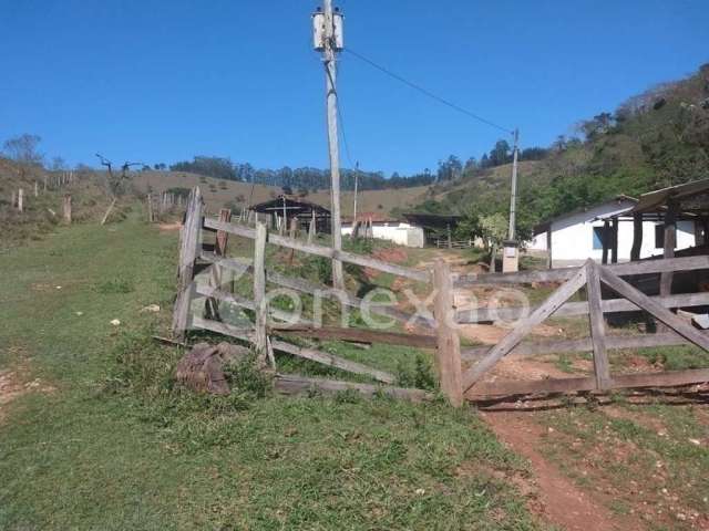 Fazenda à venda na Rodovia Oswaldo Cruz, Monte Belo, Taubaté, 100 m2 por R$ 14.000.000