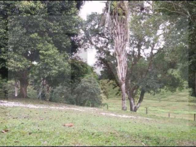 Fazenda à venda na Rua Um, Centro, Registro, 100 m2 por R$ 3.800.000