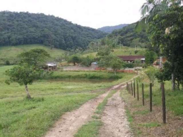 Fazenda com 4 salas à venda na Rua Um, Centro, Registro, 100 m2 por R$ 4.990.000