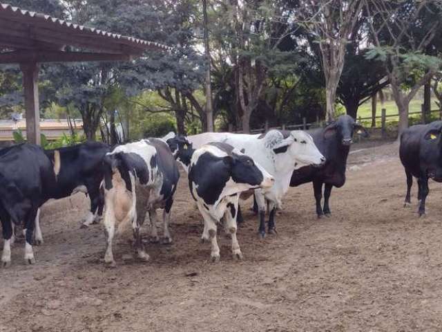 Fazenda à venda na Rua América Central, São Francisco, Passos, 100 m2 por R$ 11.500.000