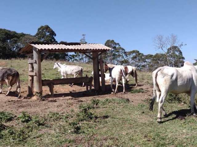 Fazenda à venda na Praça Conselheiro Rodrigues Alves, Centro, Guaratinguetá, 100 m2 por R$ 6.300.000