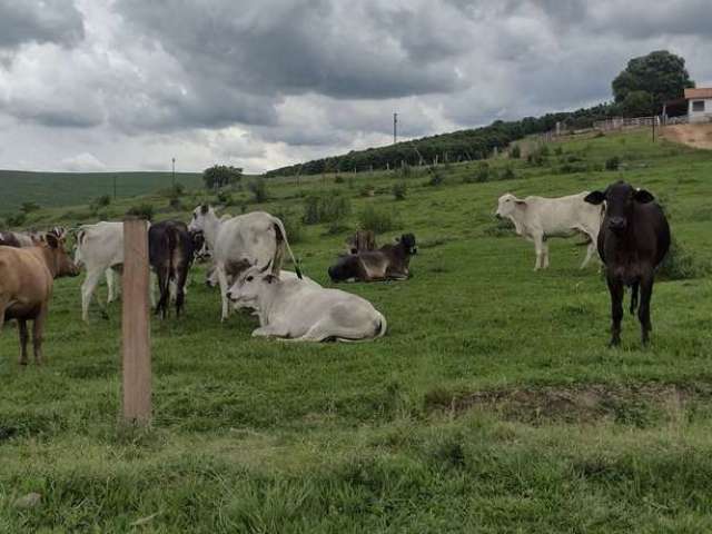 Fazenda à venda na Rua Romão Carneiro, Centro, Conceição do Rio Verde, 150 m2 por R$ 11.990.000