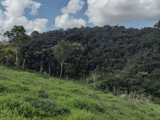 Chácara / sítio com 2 quartos à venda na Avenida Paulino Fernandes de Castro, Centro, Natividade da Serra por R$ 1.000.000